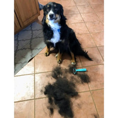 Uproot Cat and Dog Brush