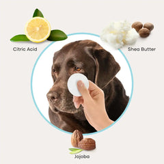 Uproot Eye Wipe Pads